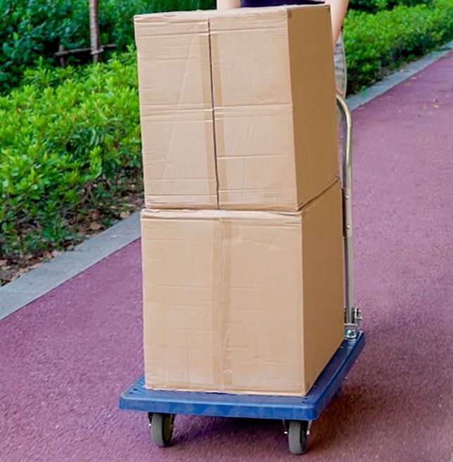 [FREE DELIVERY] AXEL Foldable Platform Trolley / Trollies / Heavy Duty ...