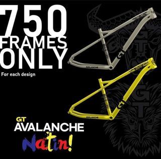GT Avalanche Natin! Tamaraw at Agila batalya 29r ( with freebies )