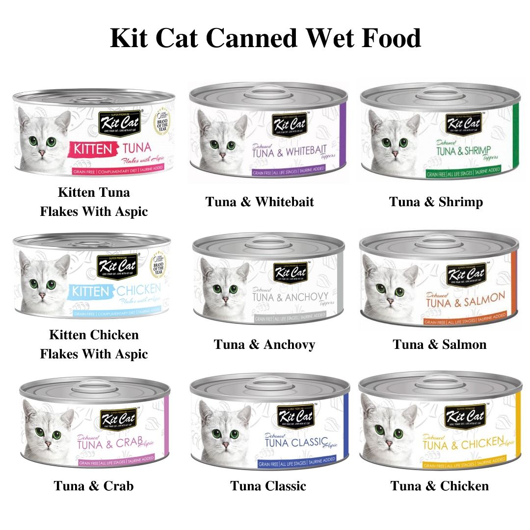 Kit Cat Petite Pouch Wet Food Kitty Crunch Treats Premium Cat Dry Food