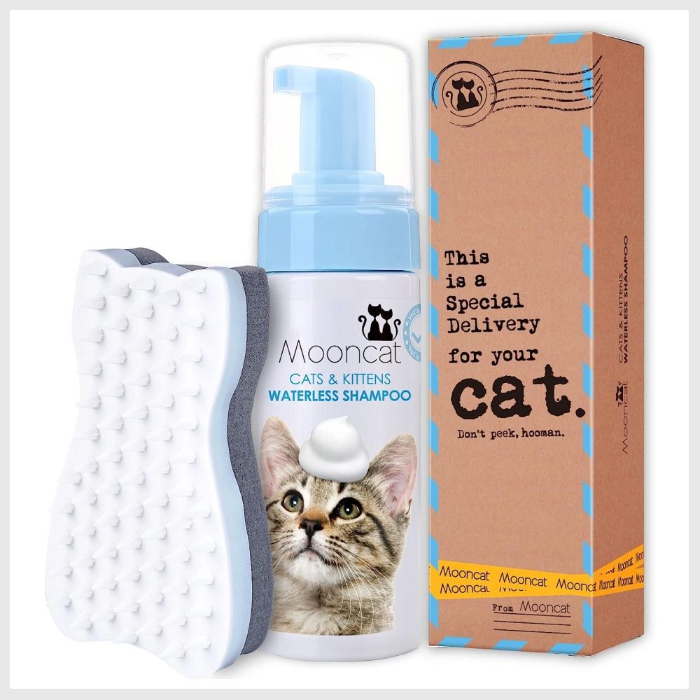 Dry bath for cats best sale