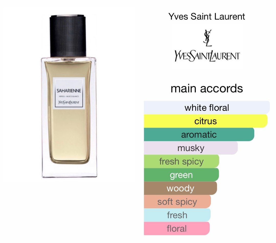 Ysl saharienne 2025