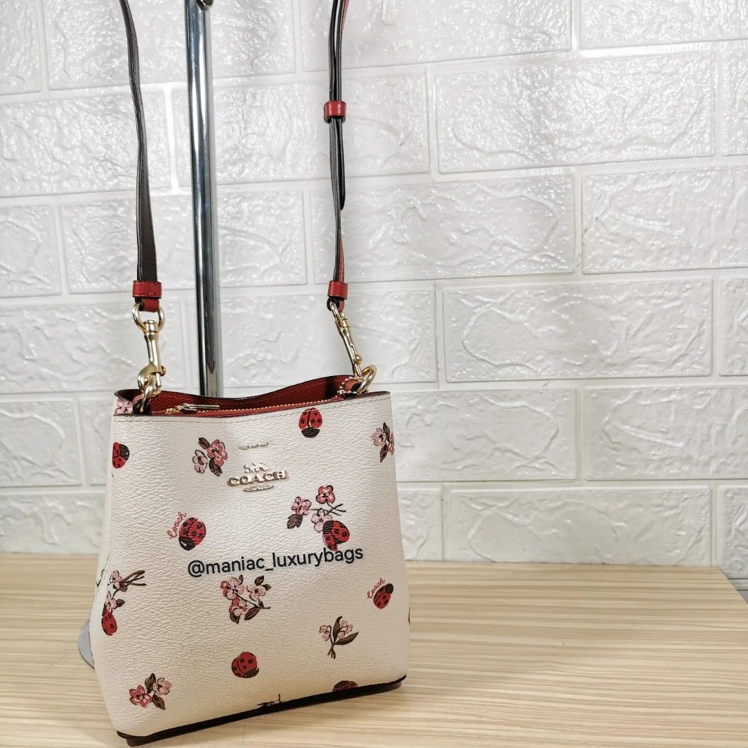 Coach ladybug bucket bag 2025