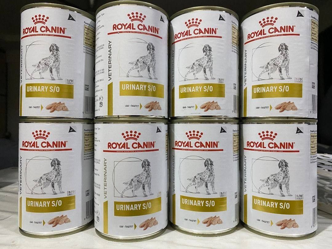 Urinary so deals canned dog food