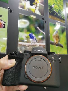 （分類：）位於 。 由 shamwo_114 提交（商品編號 1247599189，圖片 1）。簡介： 。