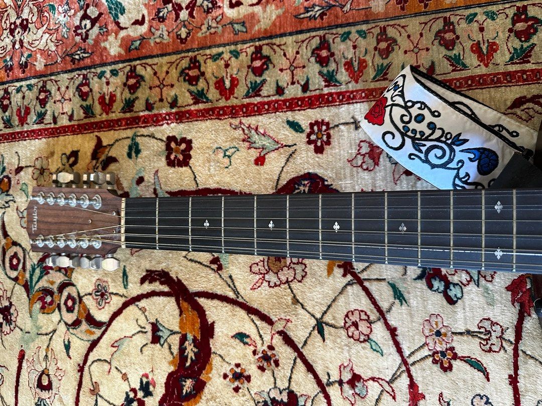Taylor 360e shop 12 string