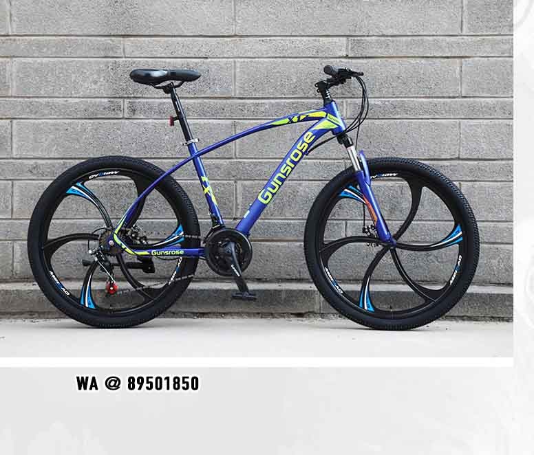 Gunsrose clearance road bike