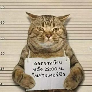 （分類：）位於 。 由 vallann 提交（商品編號 1247713514，圖片 1）。簡介： 。