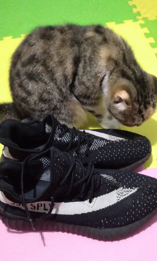 Adidas spiv 350 online