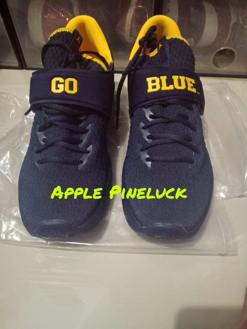 Michigan jordan trainer hot sale