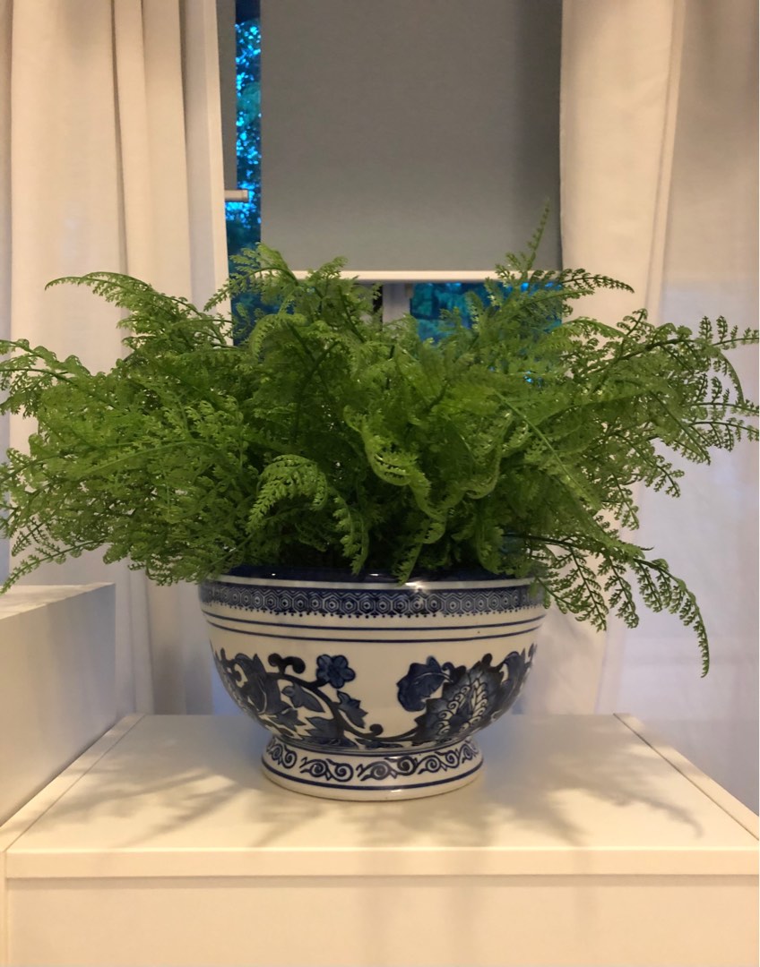 Artificial ferns with chinoiserie vase, Furniture & Home Living, Home