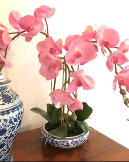 Artificial orchids for sale online
