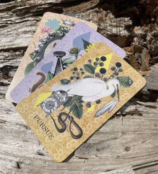 Coastal Curiosities Oracle Deck by Lennox Rees (Tarot Beginner ...