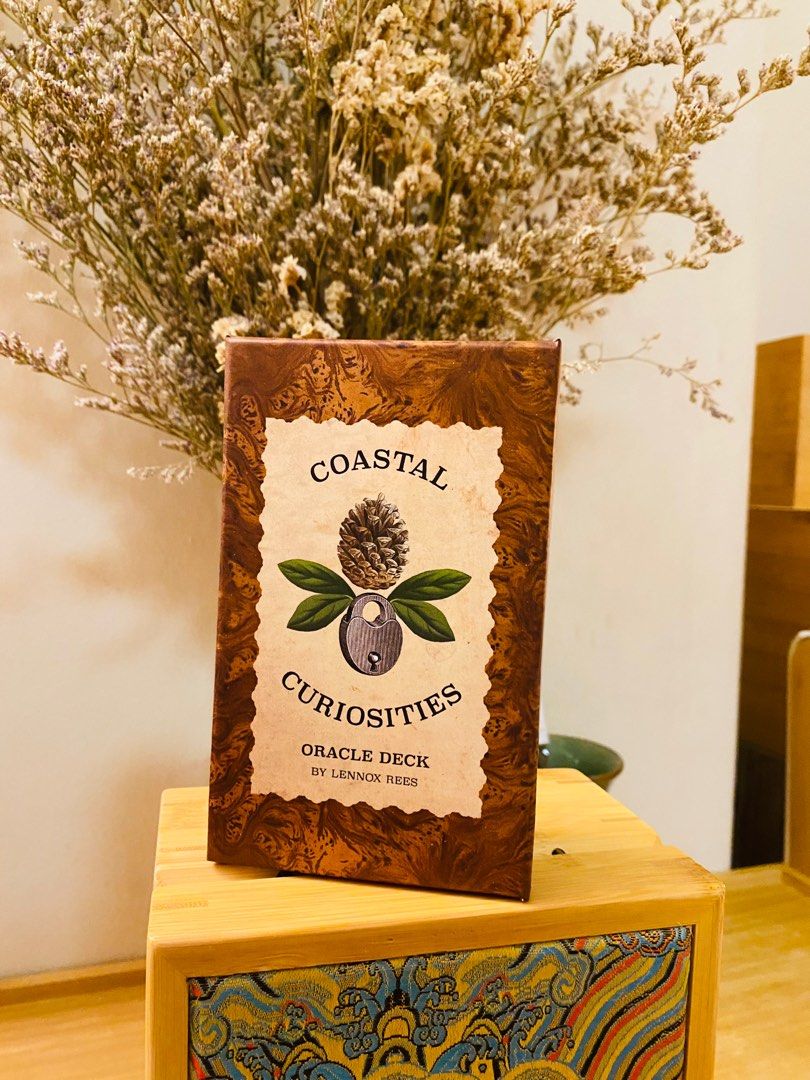 Coastal Curiosities Oracle Deck by Lennox Rees (Tarot Beginner ...