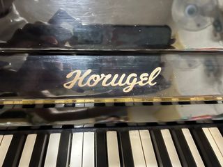 （分類：）位於 。 由 piggyyyyy2 提交（商品編號 1247865819，圖片 1）。簡介： 。