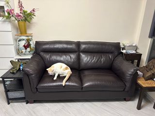 （分類：）位於 。 由 huletzaire 提交（商品編號 1247842811，圖片 1）。簡介： 。