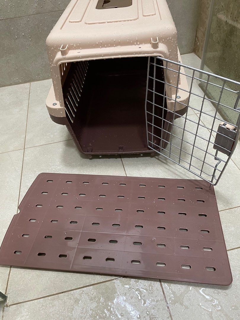 Large Kennel approved by airline, Pet Supplies, Homes & Other Pet