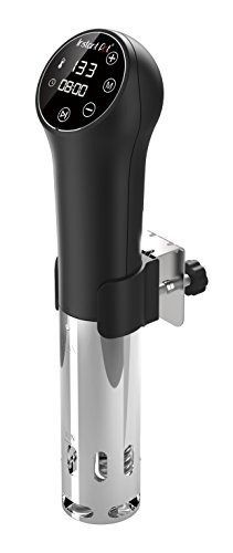 Instant pot accu sv800 on sale