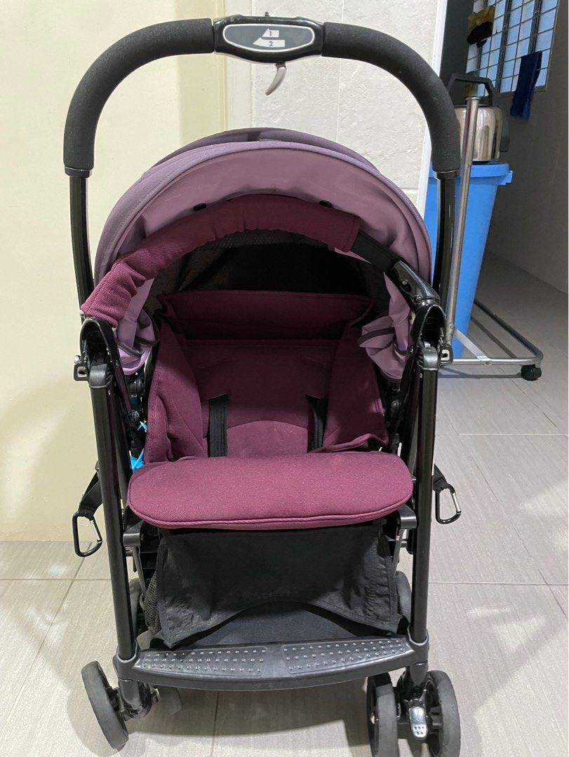 Combi buggy 2024
