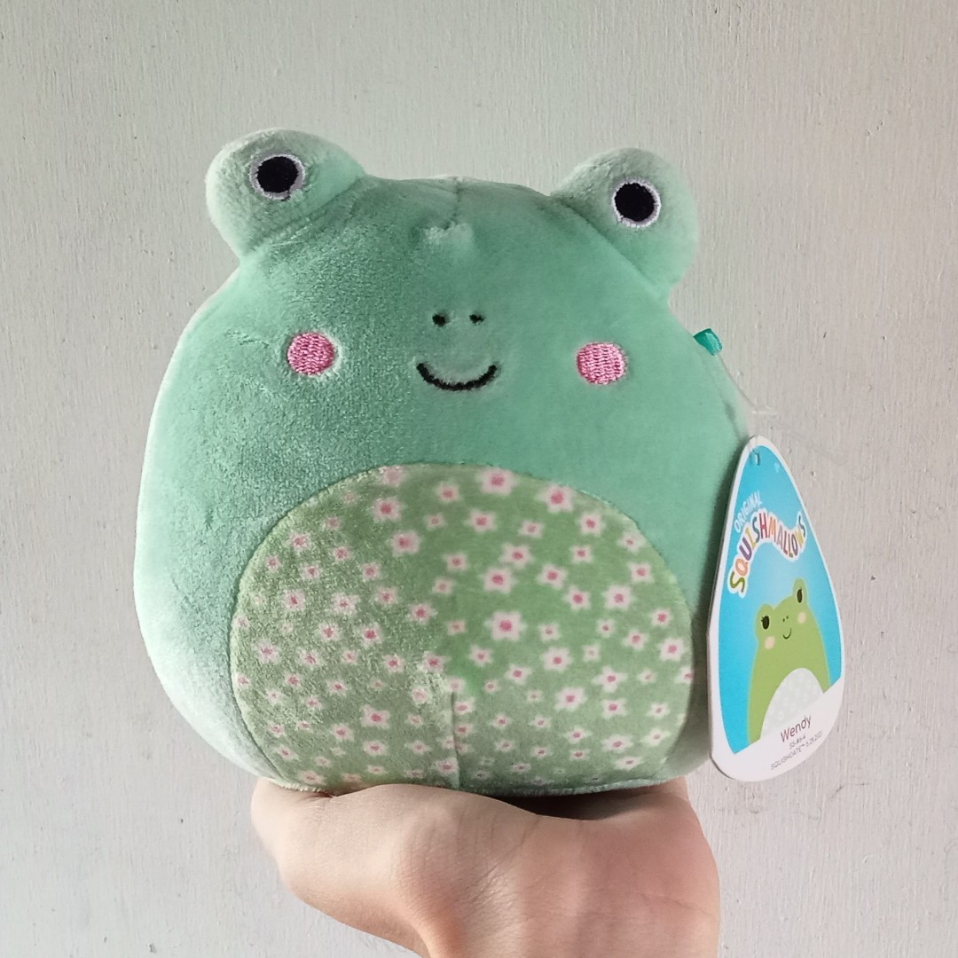 Wendy 5 frog 🐸 Squishmallows, Hobbies & Toys, Toys & Games on Carousell