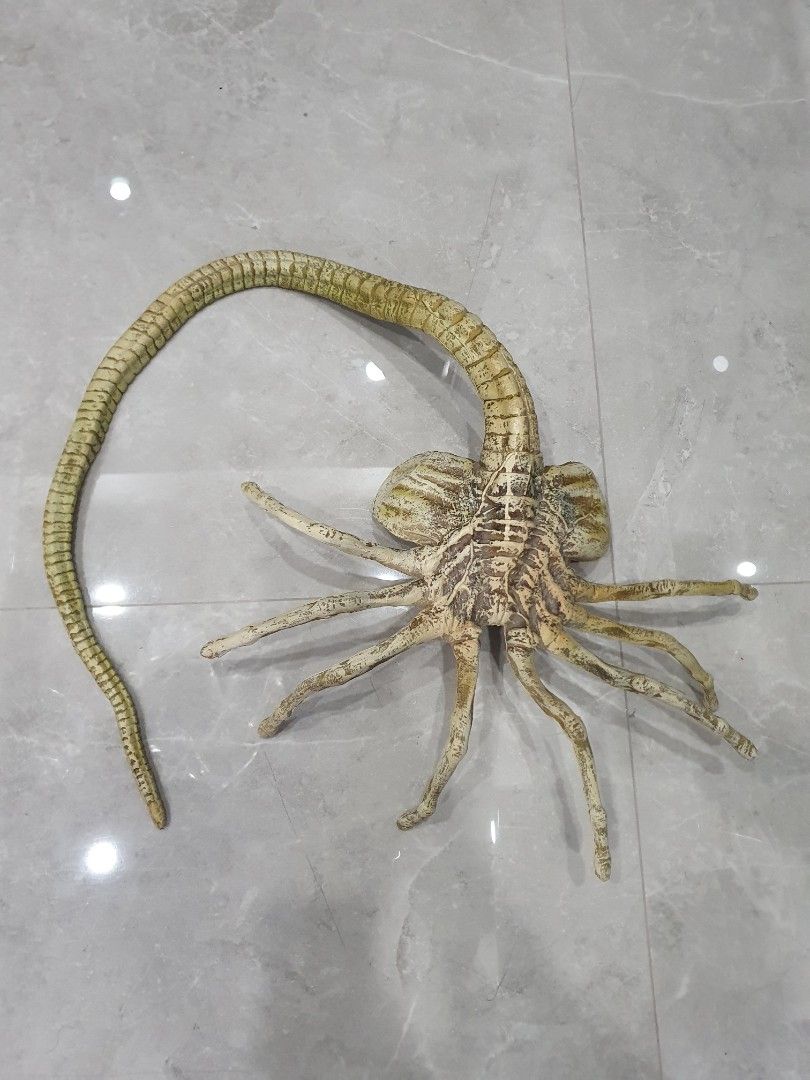 Alien Facehugger (lifesized), Hobbies & Toys, Memorabilia