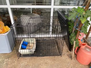 (Category: ) located in . Submitted by jamesdex (Listing ID 1248005291, Image 1). Description: .