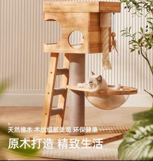 （分類：）位於 。 由 wadeandrea 提交（商品編號 1248004697，圖片 1）。簡介： 。