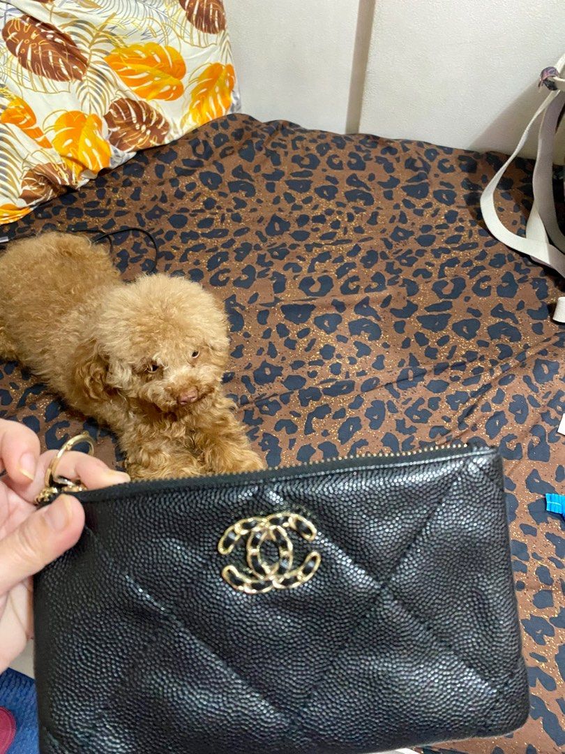 Chanel pouch clearance bag price