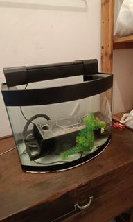 (Category: ) located in . Submitted by eddieli27 (Listing ID 1247971774, Image 1). Description: .