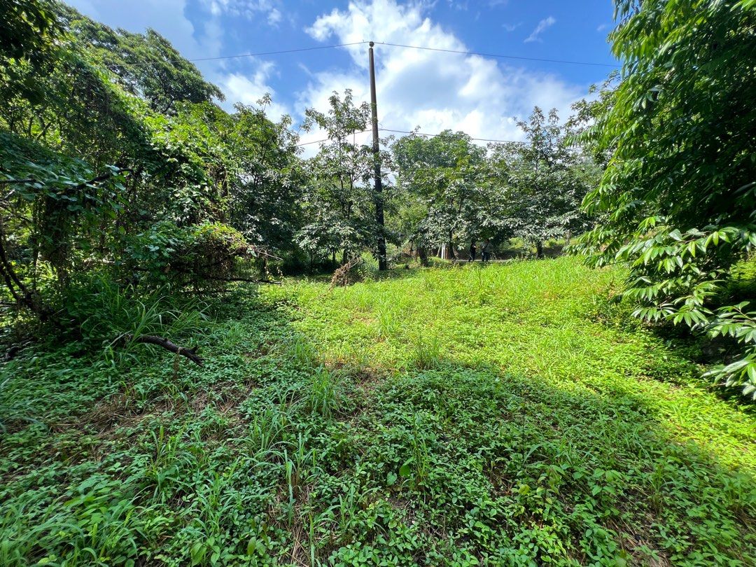 For Sale Parkridge Residential Lot on Carousell