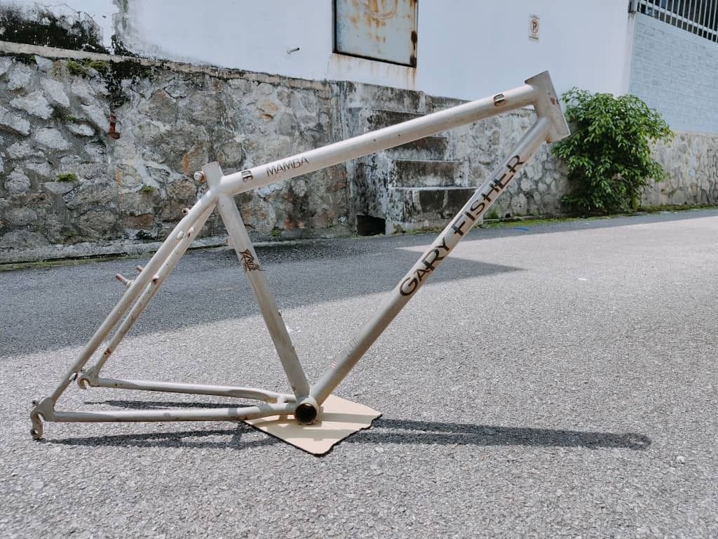 Gary fisher online mamba 29er