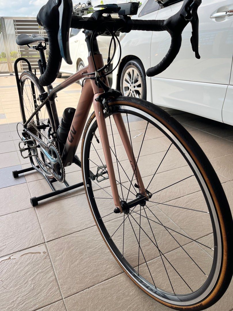 Giant langma 2025 sl2