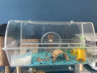 (Category: ) located in . Submitted by prettycorals (Listing ID 1247954976, Image 1). Description: .
