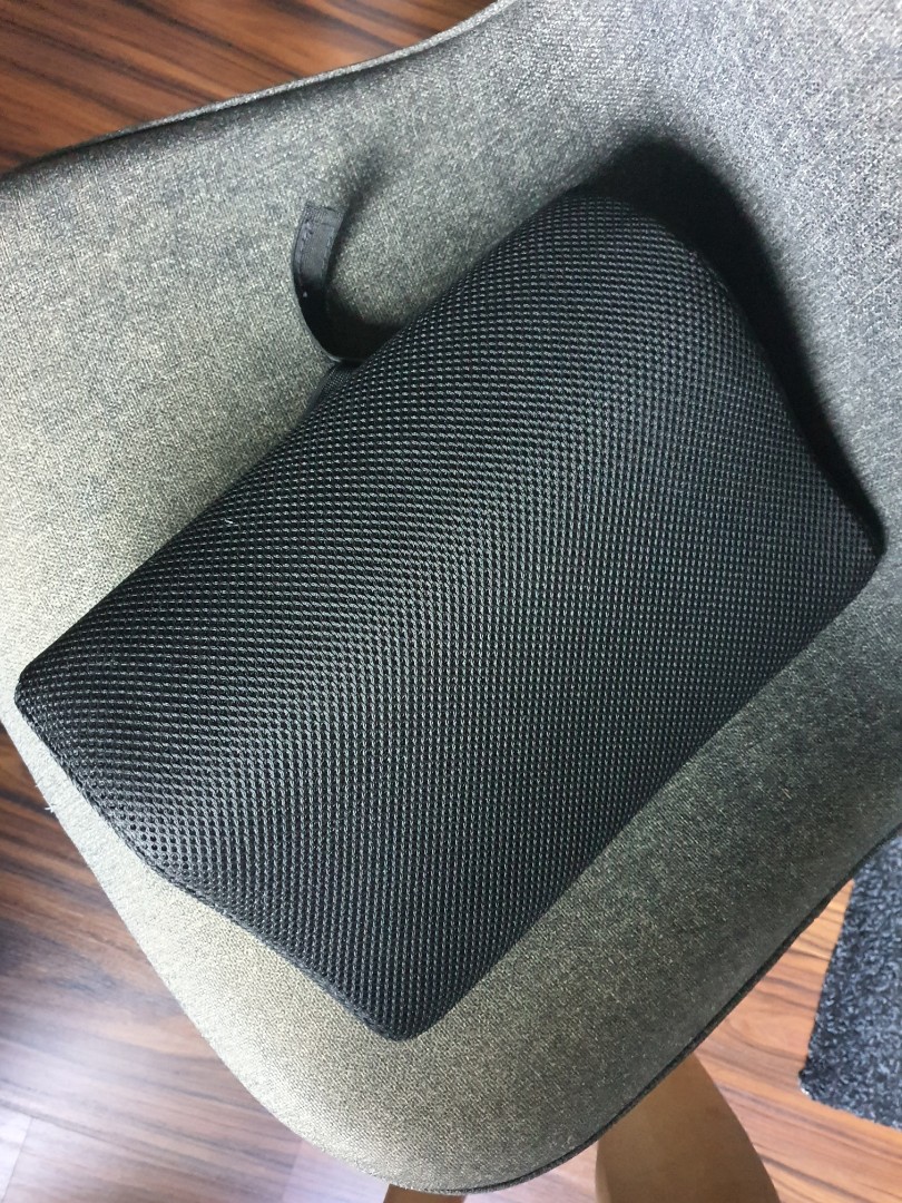 BORTBERG Lumbar cushion, gray, 31x23 cm (12x9) - IKEA