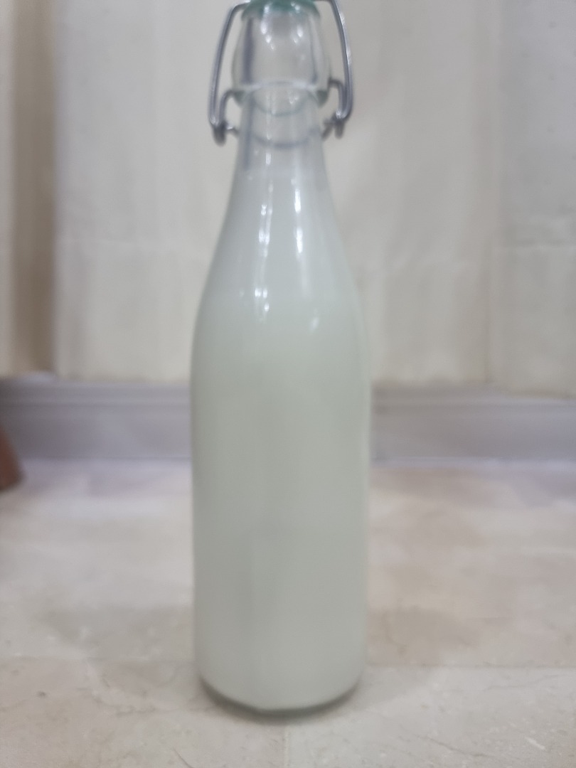 L Reuteri fermented milk drink 500ml Health Nutrition Health