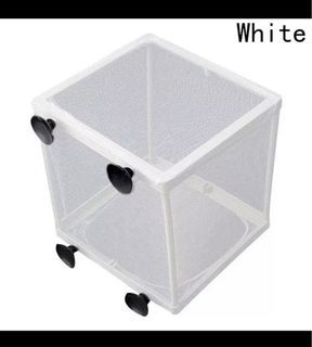Mesh Breeder Box