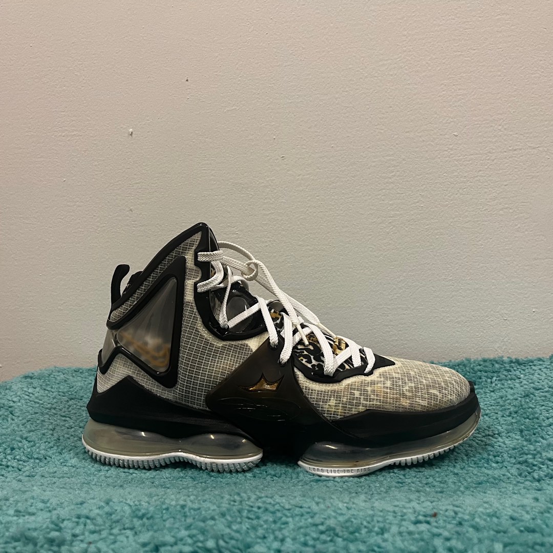 Lebron sales leopard shoes