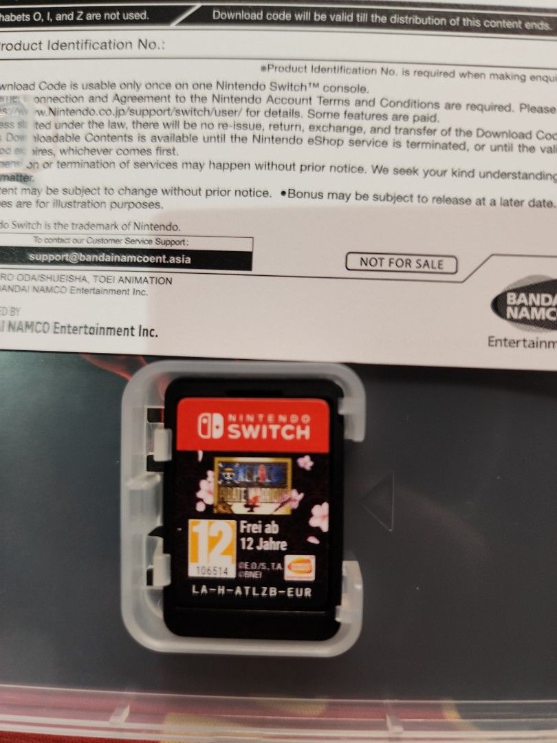 Nintendo switch pirate hot sale cartridge