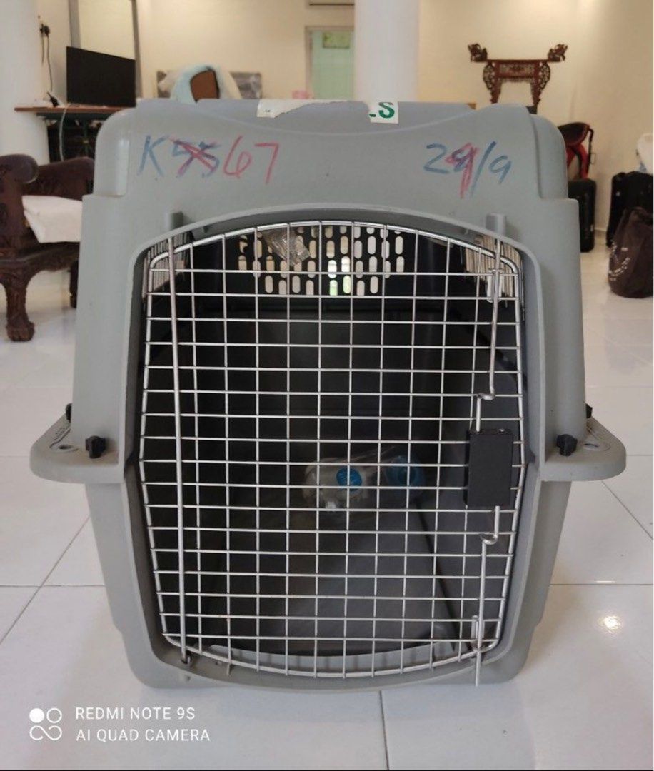 puppy crate camera