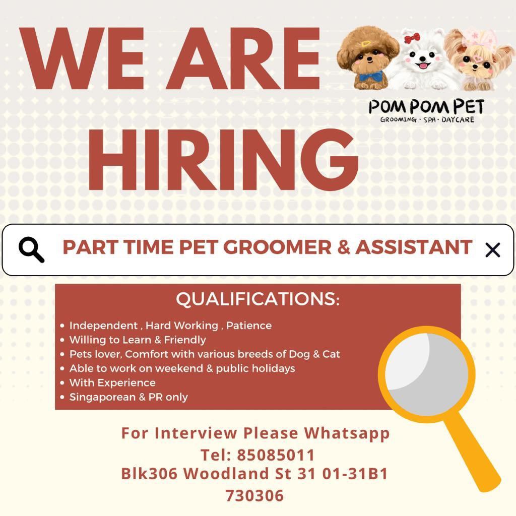 Pet groomer & assistant, Jobs, Internships & Others on Carousell