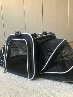 Designer pet carrier bag in Damier Graphite canvas print, size 40, Pet  Supplies, Homes & Other Pet Accessories on Carousell