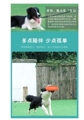 Nylabone go active flying disc dog toy discount