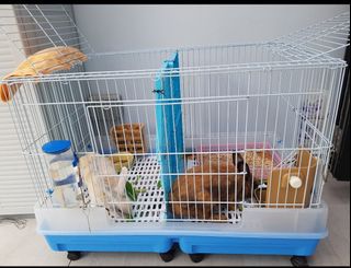 (Category: ) located in . Submitted by martango (Listing ID 1248025367, Image 1). Description: .
