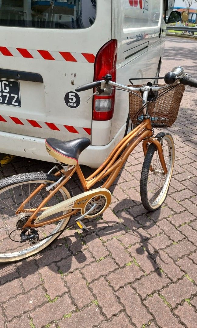 raleigh classic ladies bike