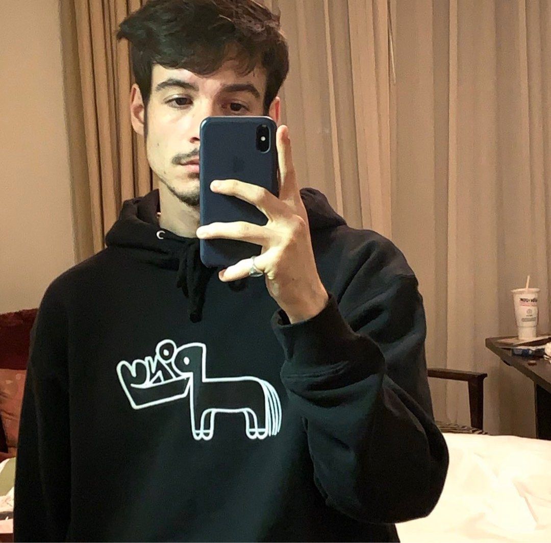 Rex Orange County Pony Hoodie original merch 2019 Men s Fashion Tops Sets Hoodies on Carousell