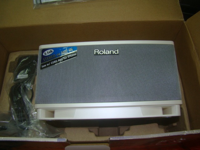 Roland cube lite monitor, 興趣及遊戲, 音樂、樂器& 配件, 樂器配件