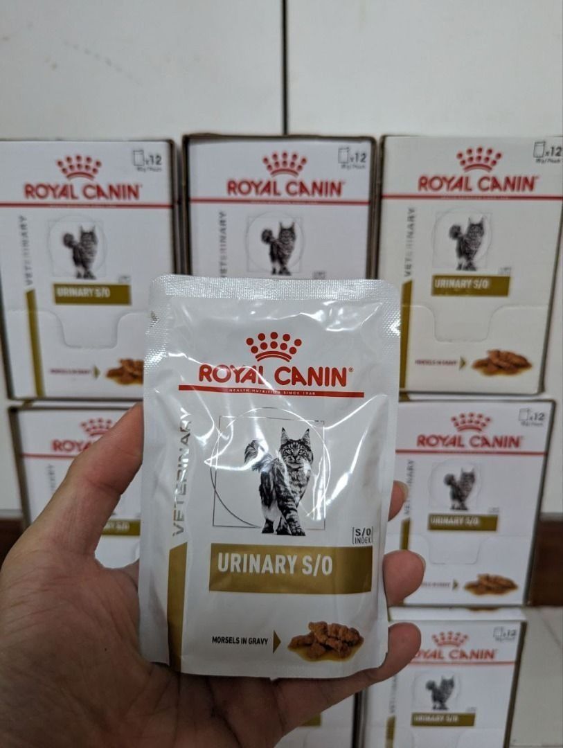 Royal canin veterinary diet urinary best sale so in gel canned cat food