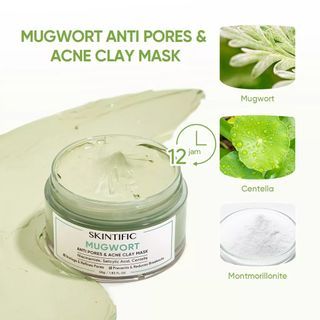 Masker Wajah SKINTIFIC Mugwort Acne Clay Mask