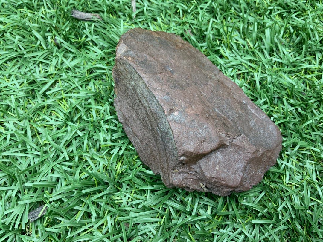 Image 7