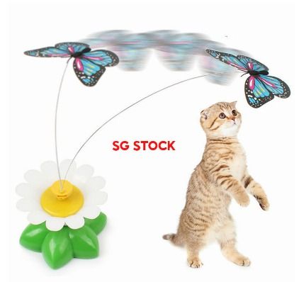 Electric butterfly on sale cat toy