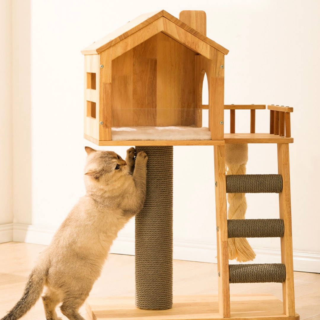 Cat top condo lazada